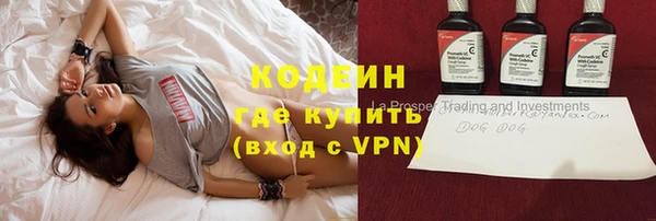 индика Нязепетровск